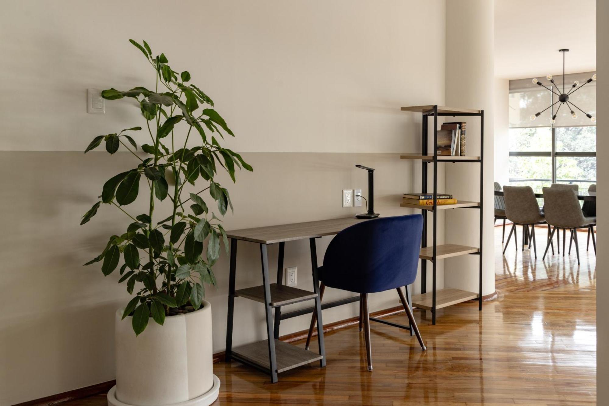 Lope 226, Polanco Daire Meksika Dış mekan fotoğraf